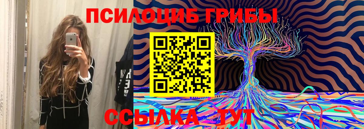 Псилоцибиновые грибы Psilocybine cubensis  Вход с VPN  Воронеж 