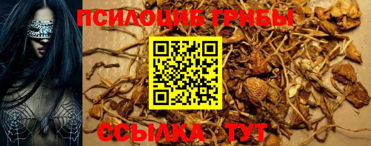 Бутират Воронеж